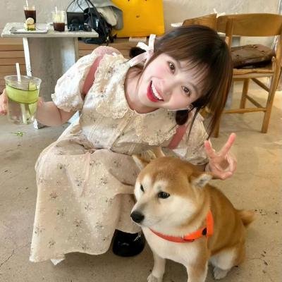 玛琳娜的杀戮四段式封面